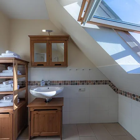 Butterblume Dg Röbel