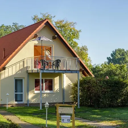 Butterblume Dg * Röbel