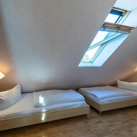 Butterblume Dg Röbel