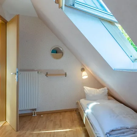 Butterblume Dg Röbel