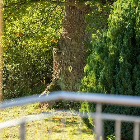 Butterblume Dg דירה